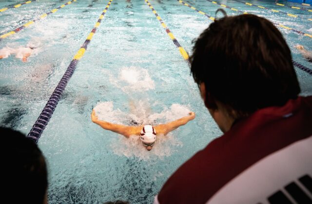 SwimSafer Gold (Stage 6): Requirements & Skills — Singapore swimming lessons
