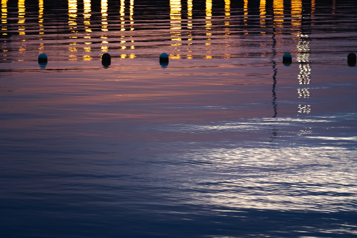 a group of balls floating on water